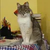 Отзыв от Элла Жилина